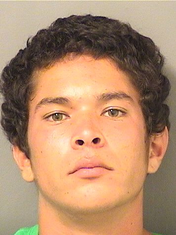  PEDRO  III REYES Resultados de la busqueda para Palm Beach County Florida para  PEDRO  III REYES