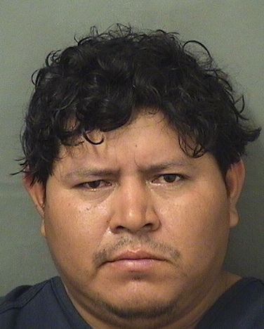  IMNER A MIRANDA Results from Palm Beach County Florida for  IMNER A MIRANDA