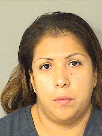  CITLALLI MORALES CALDERON Results from Palm Beach County Florida for  CITLALLI MORALES CALDERON