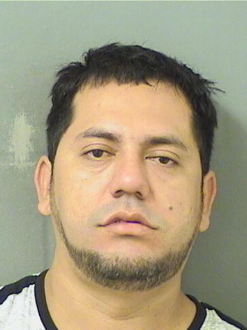  ROBERTO A PICADOGONZALEZ Results from Palm Beach County Florida for  ROBERTO A PICADOGONZALEZ
