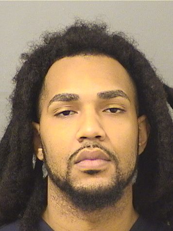  RYAN TYLER KHAN Results from Palm Beach County Florida for  RYAN TYLER KHAN