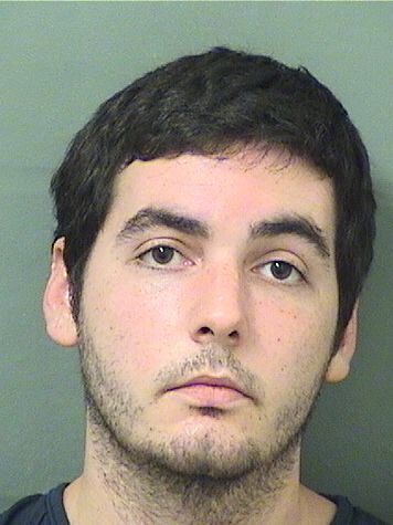  BRIAN GOLDSTEIN Results from Palm Beach County Florida for  BRIAN GOLDSTEIN