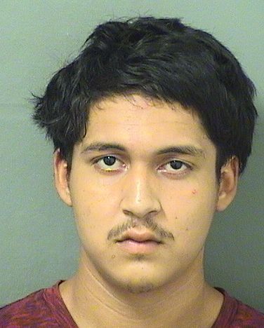 BRIAN J TORRES Results from Palm Beach County Florida for BRIAN J TORRES BRIAN J TORRES Results from Palm Beach County Florida for BRIAN J TORRES