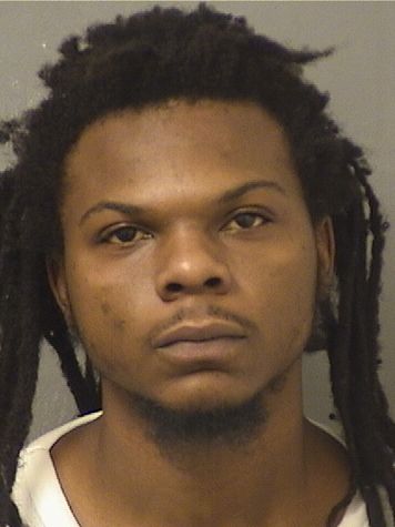  DEVIN D POLK Results from Palm Beach County Florida for  DEVIN D POLK