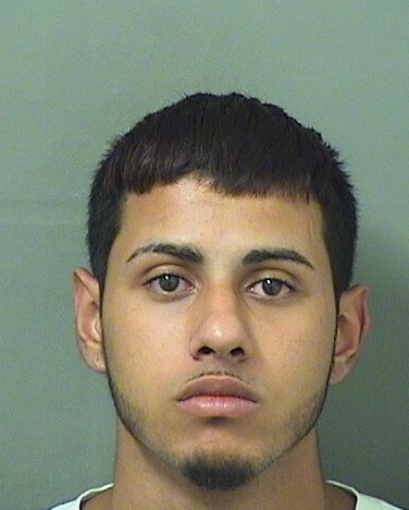  MICHEIL CASTELLANOS Results from Palm Beach County Florida for  MICHEIL CASTELLANOS