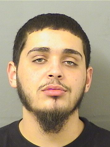  JASON I MILLENEL Results from Palm Beach County Florida for  JASON I MILLENEL