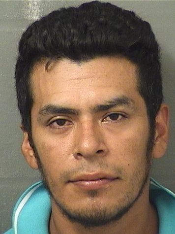  RENE BONILLA MORALES Results from Palm Beach County Florida for  RENE BONILLA MORALES