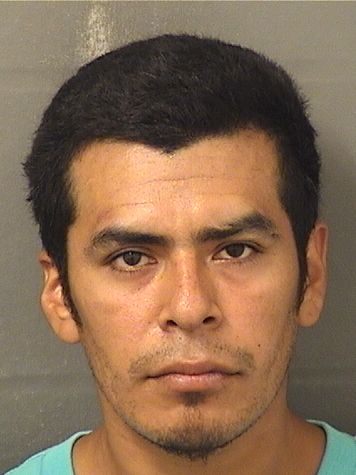  RENE A BONILLAMORALES Results from Palm Beach County Florida for  RENE A BONILLAMORALES