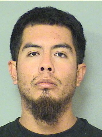  MARIO PANIAGUA Results from Palm Beach County Florida for  MARIO PANIAGUA