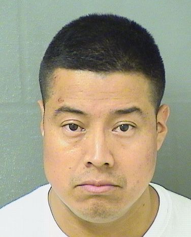  TOMAS DAVID PEREZGONZALEZ Results from Palm Beach County Florida for  TOMAS DAVID PEREZGONZALEZ