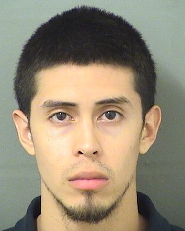  BRIAN PIEDRAHITA Results from Palm Beach County Florida for  BRIAN PIEDRAHITA