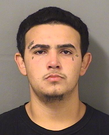 CHRISTOPHER M HERNANDEZ Results from Palm Beach County Florida for CHRISTOPHER M HERNANDEZ CHRISTOPHER M HERNANDEZ Results from Palm Beach County Florida for CHRISTOPHER M HERNANDEZ