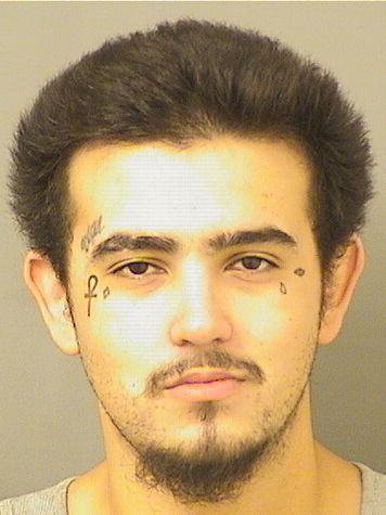  CHRISTOPHER HERNANDEZ Results from Palm Beach County Florida for  CHRISTOPHER HERNANDEZ