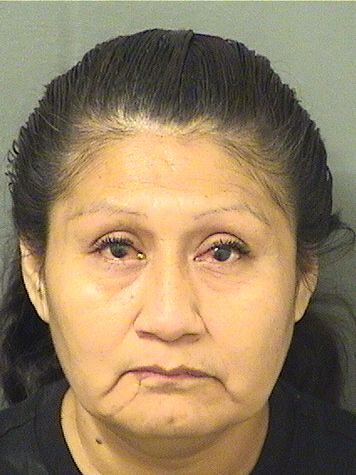  CAROLINA CASTRO Photo For  CAROLINA CASTRO