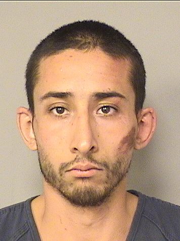  CHRISTIAN LUIS PAZ Results from Palm Beach County Florida for  CHRISTIAN LUIS PAZ
