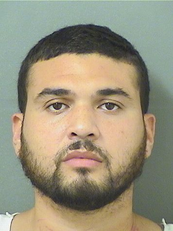  CARLOS SHALIMAR ORTEGA Results from Palm Beach County Florida for  CARLOS SHALIMAR ORTEGA