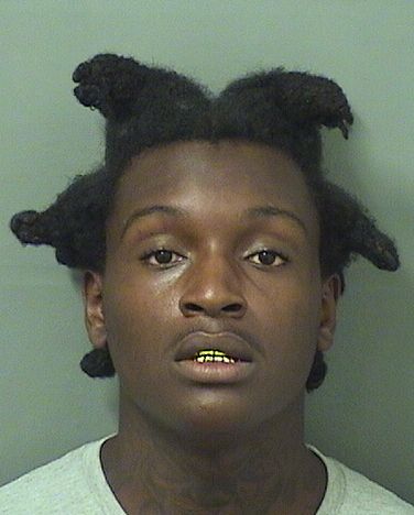  GARRY MICHEL Results from Palm Beach County Florida for  GARRY MICHEL