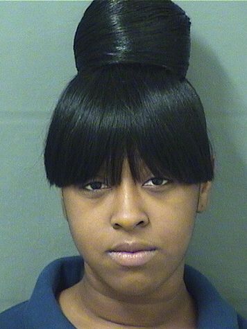  DARIEL E WELLS Results from Palm Beach County Florida for  DARIEL E WELLS