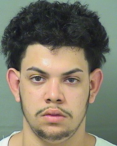  CHRISTOPHER HERNANDEZ Results from Palm Beach County Florida for  CHRISTOPHER HERNANDEZ