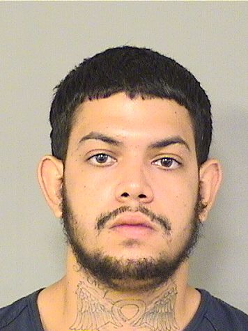  CHRISTOPHER HERNANDEZ Results from Palm Beach County Florida for  CHRISTOPHER HERNANDEZ