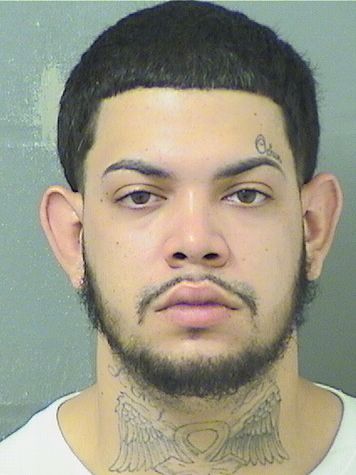 CHRISTOPHER HERNANDEZ Results from Palm Beach County Florida for  CHRISTOPHER HERNANDEZ