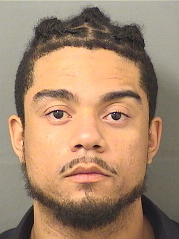 THEODORE JOSEPH III ALSTON Results from Palm Beach County Florida for THEODORE JOSEPH III ALSTON THEODORE JOSEPH III ALSTON Results from Palm Beach County Florida for THEODORE JOSEPH III ALSTON