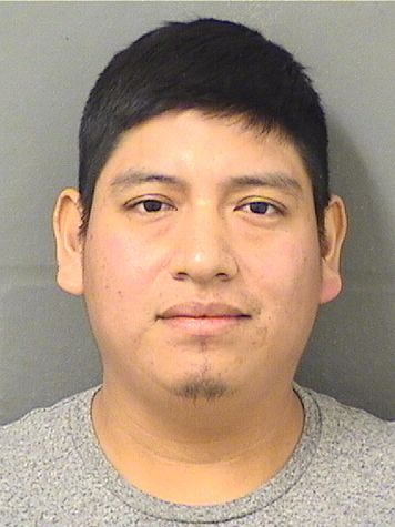  JOSE ARIOSTO PEREZMORALES Results from Palm Beach County Florida for  JOSE ARIOSTO PEREZMORALES