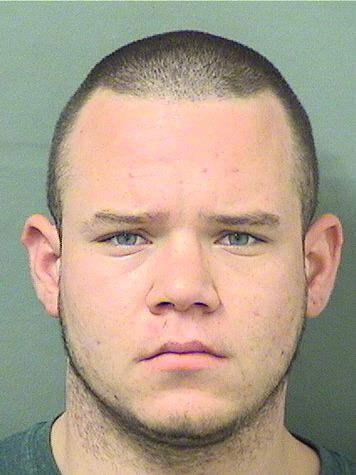  ALEX NATHAN GUELLI Results from Palm Beach County Florida for  ALEX NATHAN GUELLI