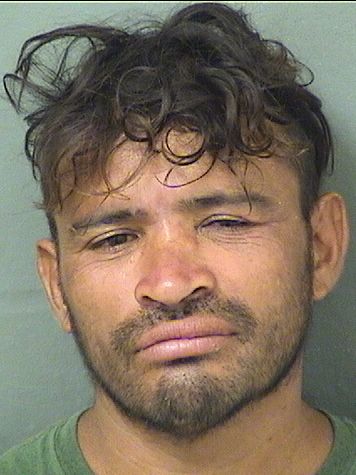  SANTOS GIAVONI Results from Palm Beach County Florida for  SANTOS GIAVONI