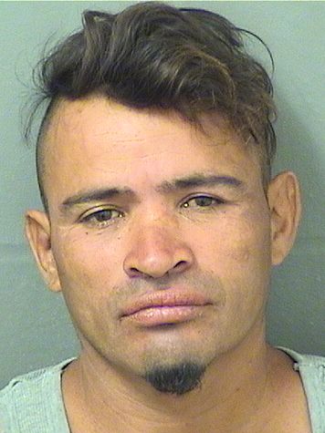  JOSE ELJIMADOR Results from Palm Beach County Florida for  JOSE ELJIMADOR