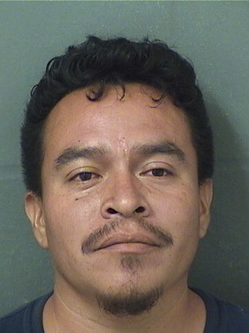  CESAR ALEXANDER AGUSTINRAMIREZ Results from Palm Beach County Florida for  CESAR ALEXANDER AGUSTINRAMIREZ