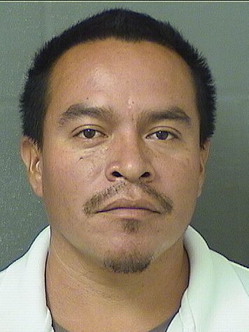  CESAR AGUSTINRAMIREZ Resultados de la busqueda para Palm Beach County Florida para  CESAR AGUSTINRAMIREZ