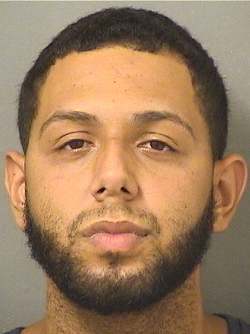  JEAN LUIS MALAVECOLON Resultados de la busqueda para Palm Beach County Florida para  JEAN LUIS MALAVECOLON