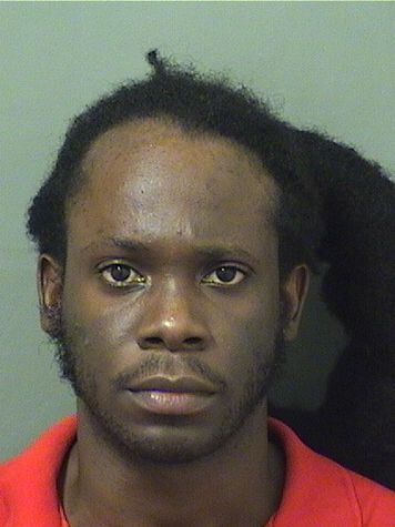  LYNTON NICHOLAS DELICE Results from Palm Beach County Florida for  LYNTON NICHOLAS DELICE