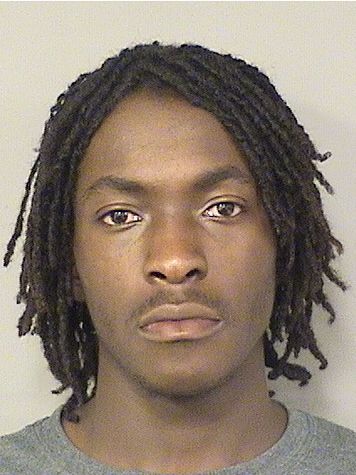  REGINALD D OWENS Results from Palm Beach County Florida for  REGINALD D OWENS