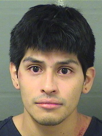  CARLOS DAVID PINEDO Results from Palm Beach County Florida for  CARLOS DAVID PINEDO