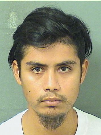  ARTURO GUEVARA Resultados de la busqueda para Palm Beach County Florida para  ARTURO GUEVARA