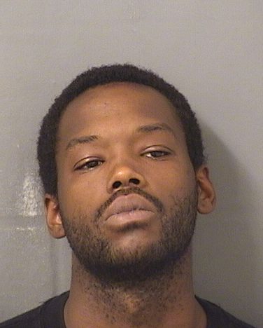  DAVON MAURICE DAVIS Results from Palm Beach County Florida for  DAVON MAURICE DAVIS