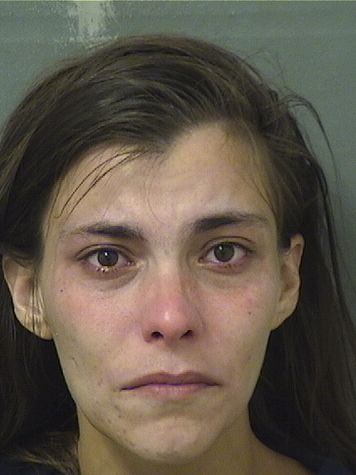  DIANE L DIXON Photo For  DIANE L DIXON