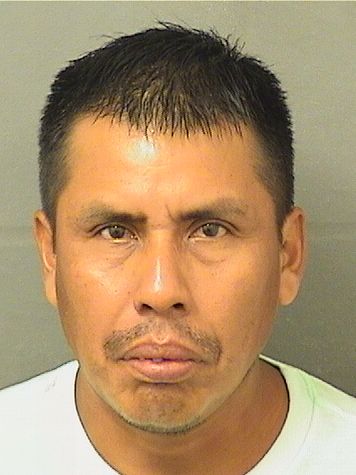  INOCENCIO GREGORIOACEVEDO Results from Palm Beach County Florida for  INOCENCIO GREGORIOACEVEDO