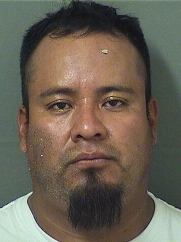  ARMANDO ORTIZDOMINGO Photo For  ARMANDO ORTIZDOMINGO