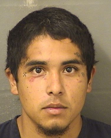  GERALDO EMILIO GONZALEZ Resultados de la busqueda para Palm Beach County Florida para  GERALDO EMILIO GONZALEZ