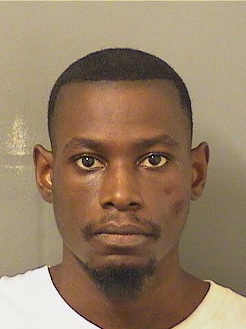  WILLIE LEONARDO Jr LEWIS Results from Palm Beach County Florida for  WILLIE LEONARDO Jr LEWIS