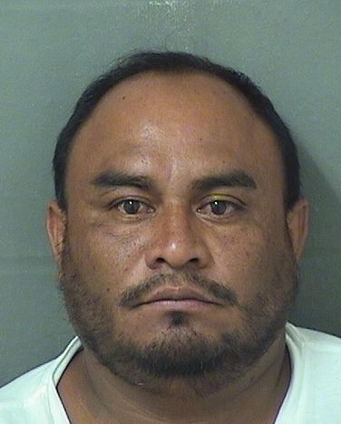  LUIS A RODRIQUEZARGUIJO Results from Palm Beach County Florida for  LUIS A RODRIQUEZARGUIJO