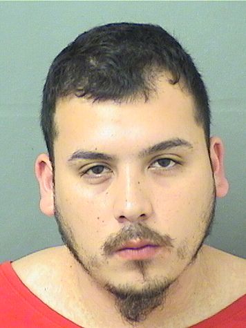  GABRIEL LEE DELCID Results from Palm Beach County Florida for  GABRIEL LEE DELCID