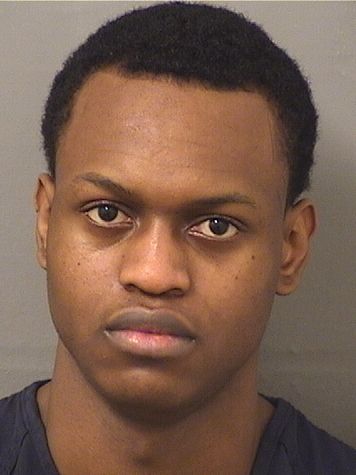  BIDJOURY JEANLOUIS Results from Palm Beach County Florida for  BIDJOURY JEANLOUIS