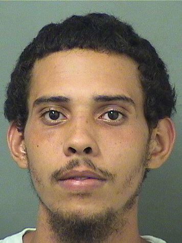  JACQUES E HORN Resultados de la busqueda para Palm Beach County Florida para  JACQUES E HORN