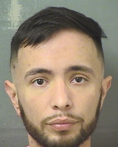  DANIEL CASTANOCARVAJAL Results from Palm Beach County Florida for  DANIEL CASTANOCARVAJAL