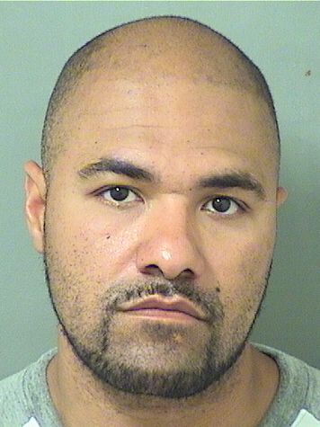  ANDRES WILLIAM ARIAS Results from Palm Beach County Florida for  ANDRES WILLIAM ARIAS