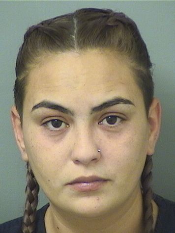  YESENIA MARIE SOBRINO Results from Palm Beach County Florida for  YESENIA MARIE SOBRINO